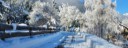 L'Hiver